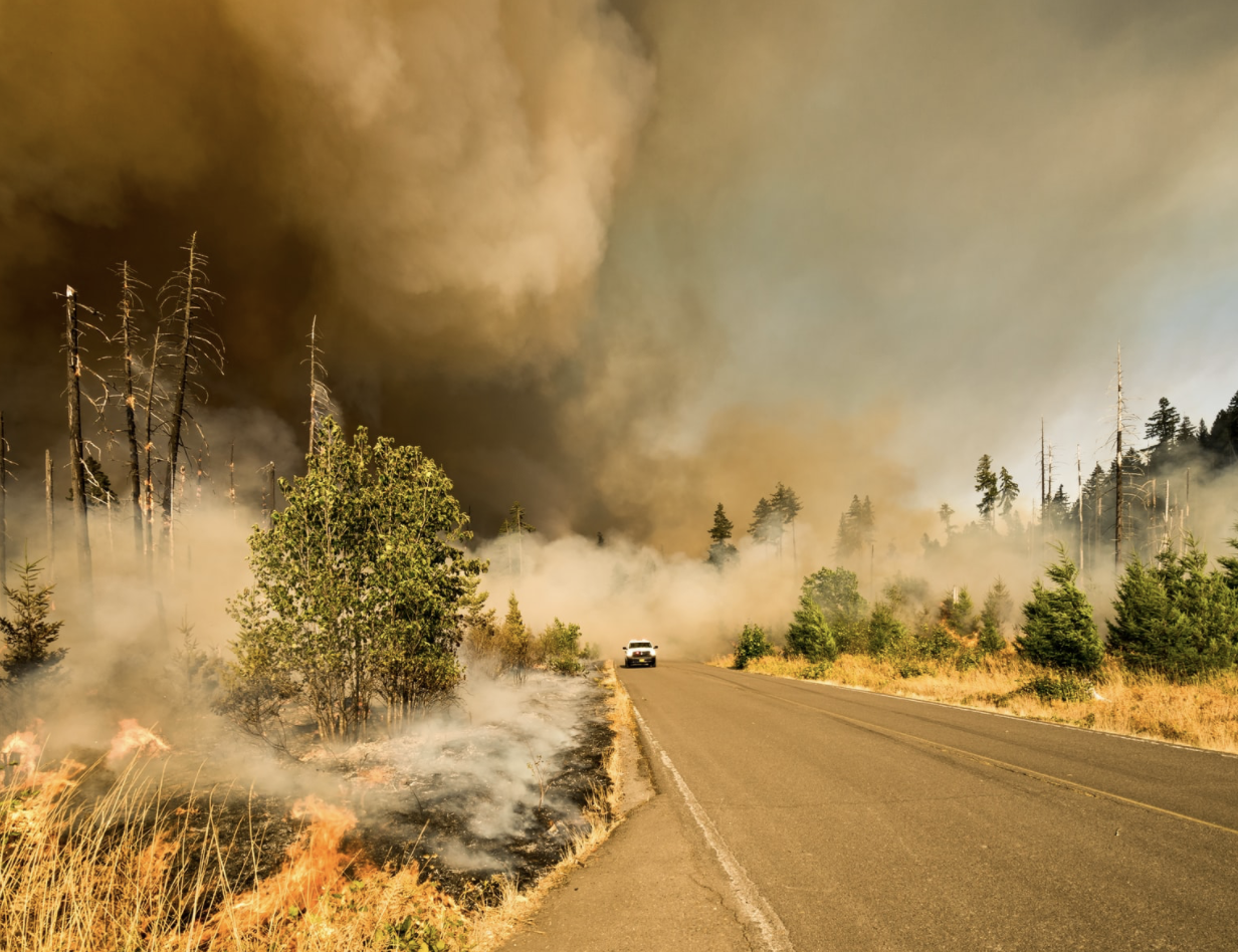 The Effects of the California Wildfires on Your Air Filter 