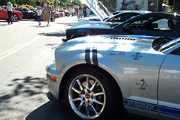 2010 Classic Cars Show