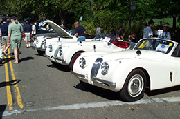 2010 Classic Cars Show