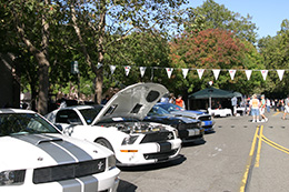 2010 Classic Cars Show